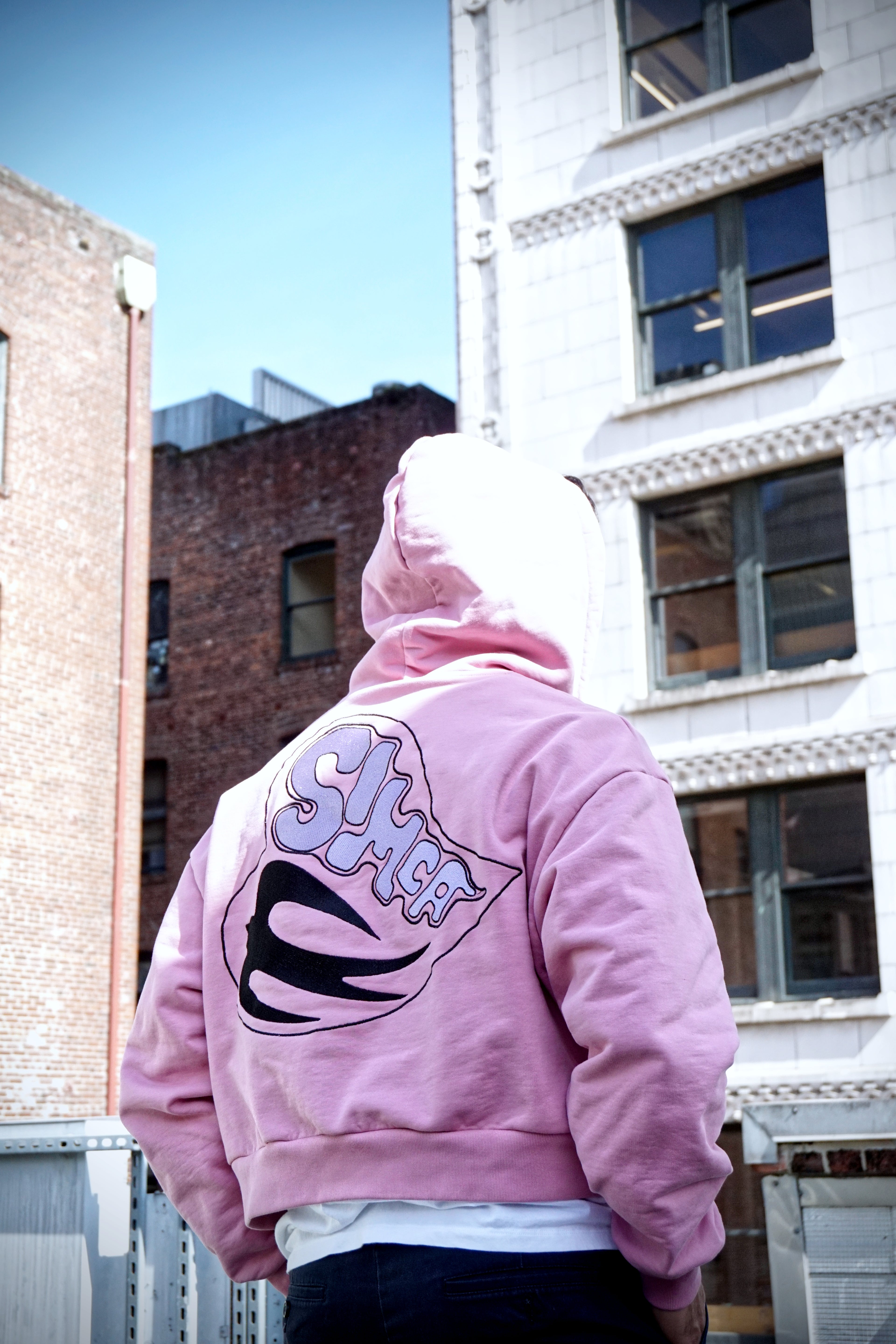 "Swallow" Cropped Hoodie