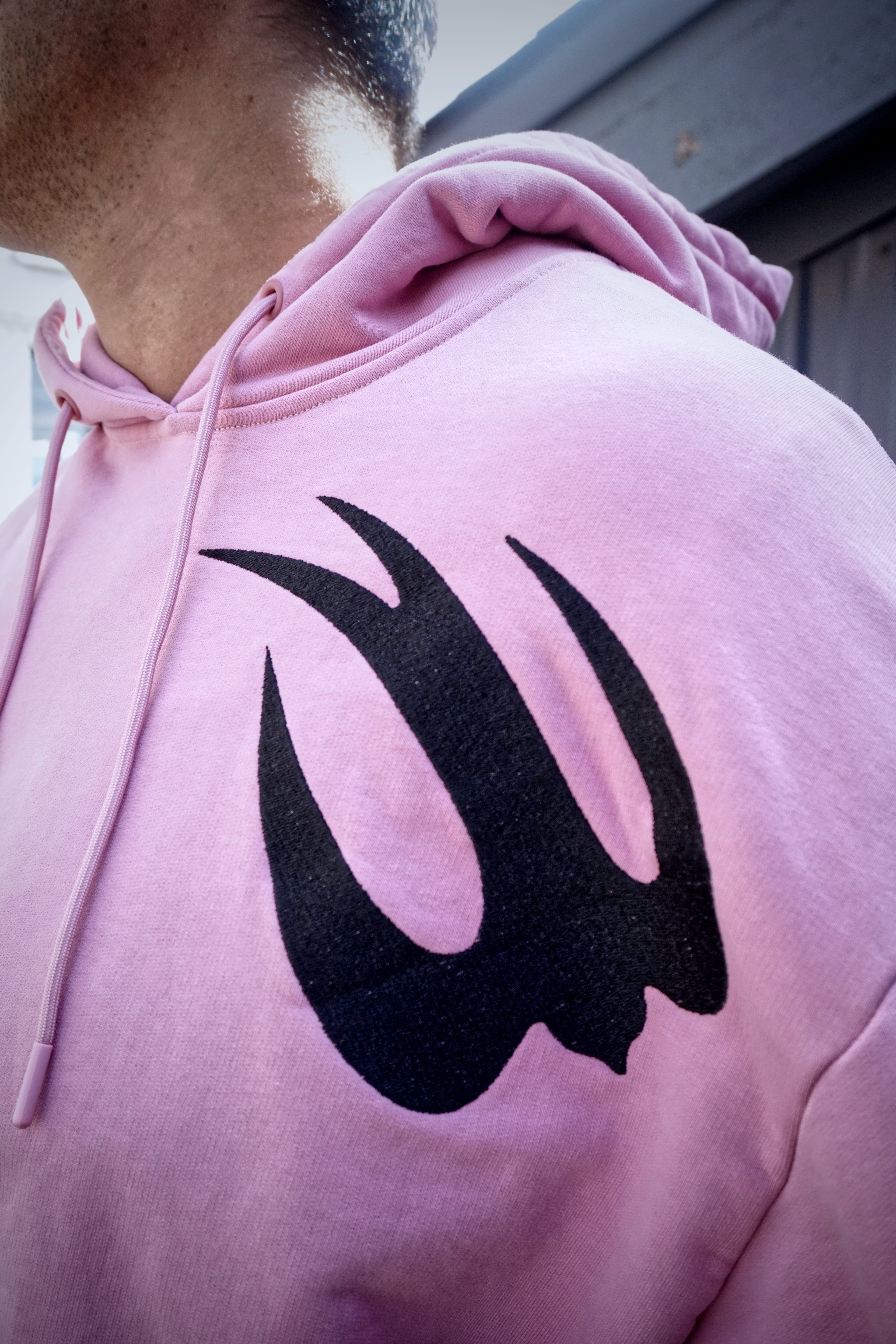 "Swallow" Cropped Hoodie